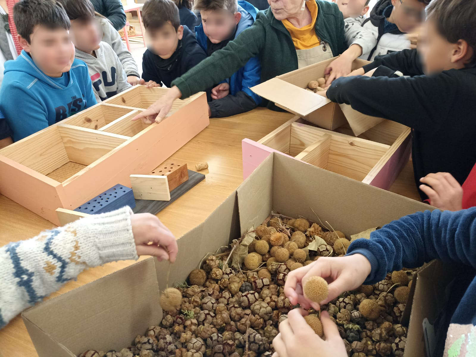 Alfara del Patriarca participa en un projecte educatiu i mediambiental de construcció d'hotels d'insectes i caixes-niu per a ocells